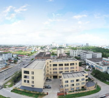 company profile