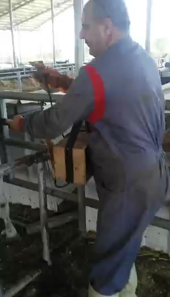 V6