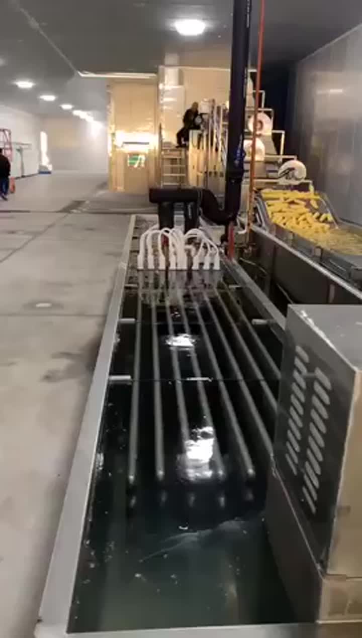 IQF corn production line