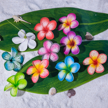Plumeria Flower