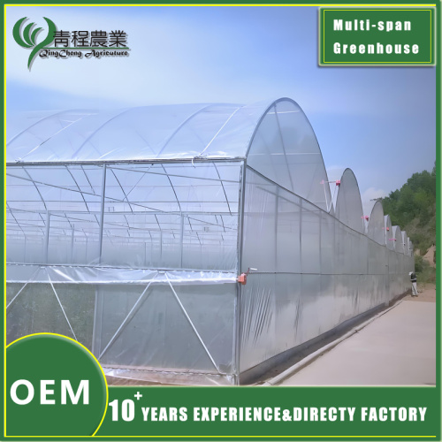 Навуковае кіраванне раслінаводствам у цяпліцах