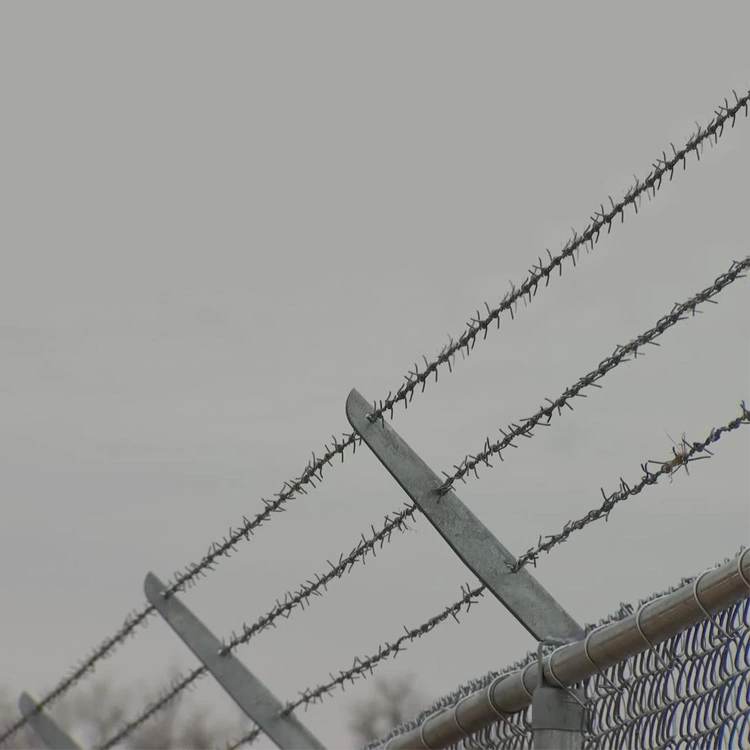 barbed wire 