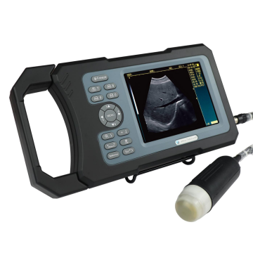 China Top 10 Handheld Ultrasound Machine Potential Enterprises