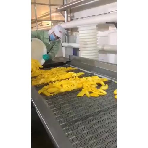 processo di produzione di mango essiccato