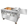 Commercial Oven for Rotisserie Grilled Chicken: Tandoori Oven for Broiler Chickens1