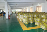 Qingdao Sidoya Manufacture & Trade Co., Ltd