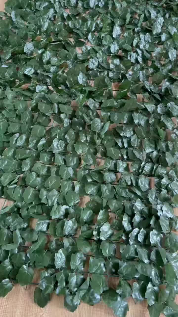 Promotional video of Suichang County Huahui Tourism and Leisure Products Co., LTD