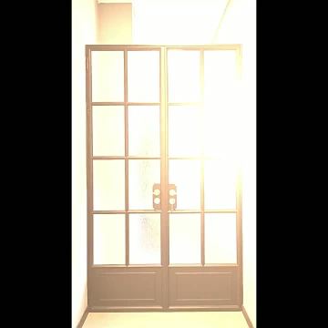 Vintage French swing door