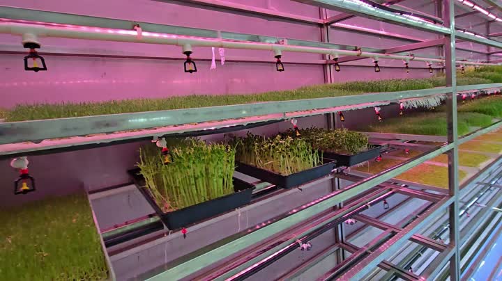 Видео внутреннего устройства контейнера для рассады или корма