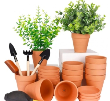 Kommer att lansera en ny 3-tums Mini Terracotta Flower Pot Set, som leder den nya trenden med hemgrönande