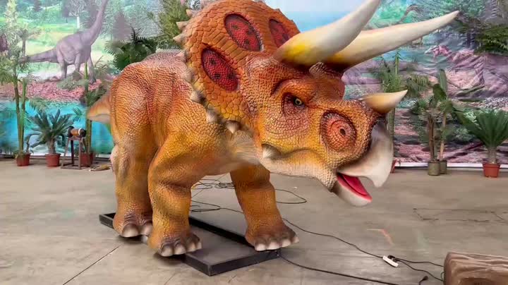5.15Triceratops Video