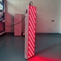 Whole Body 1000W LED Red Light Therapy Beauty Machine 660nm 850nm1