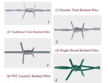 Barbed Wire