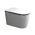 Intelligent Auto Floor-Mounted Heated Toilet Seat with Water Pressure Control1