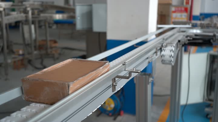 קו אריזה אוטומטי מותאם אישית