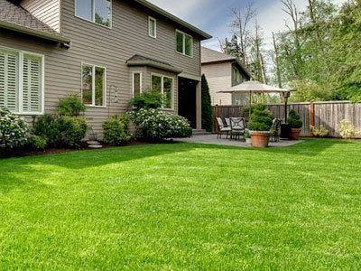 Mercado global de cortadores de grama manuais ganha força em meio ao impulso de sustentabilidade e à crescente demanda por soluções de jardinagem ecológicas