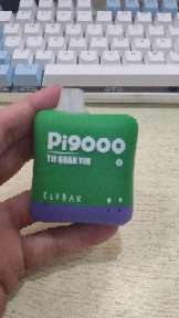 PI9000                 