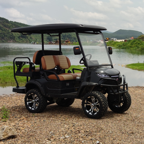 Application fields and development directions of Golf Cart