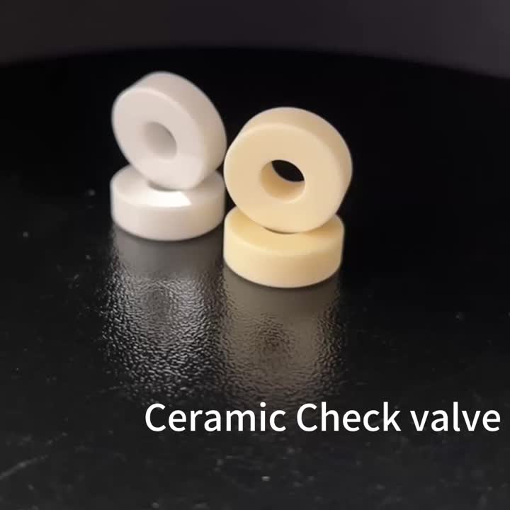 Ceramic Check valve