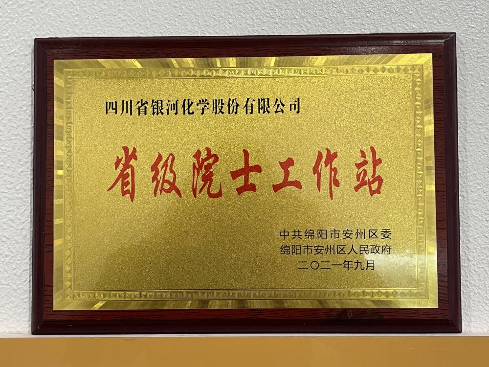 Academician workstation