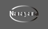Shandong Luoyan Import And Export Co., Ltd.