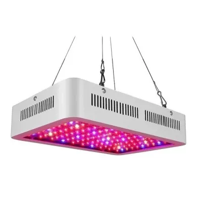 Luz de cultivo LED interior 1200W 1000W 800W Lámpara de crecimiento de la planta LED1