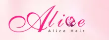 Xuchang Alice Hair Products Co., Ltd.