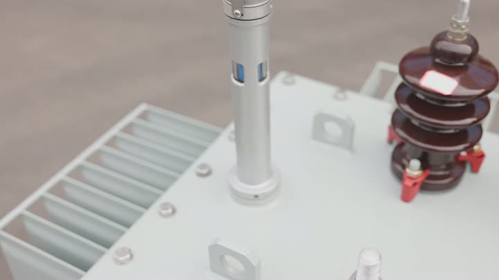 10KV Oil-immersed power transformer
