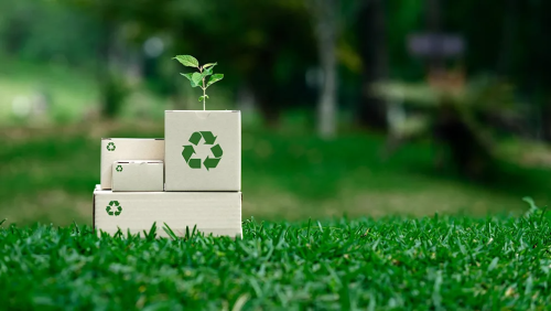 Global Green Packaging responde às taxas emergentes de “conformidade verde” na logística da cadeia de frio