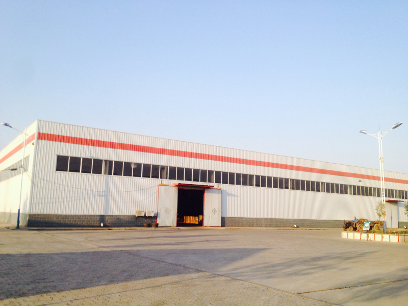 Shijiazhuang S D Company Ltd.