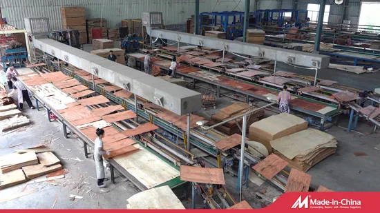 Shuttering/Marine Plywood, Construction Waterproof Film Faced Plywood for Building1