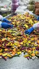 Lanches Hotselling VF Secas Misturadas Legumes Fruit Chips