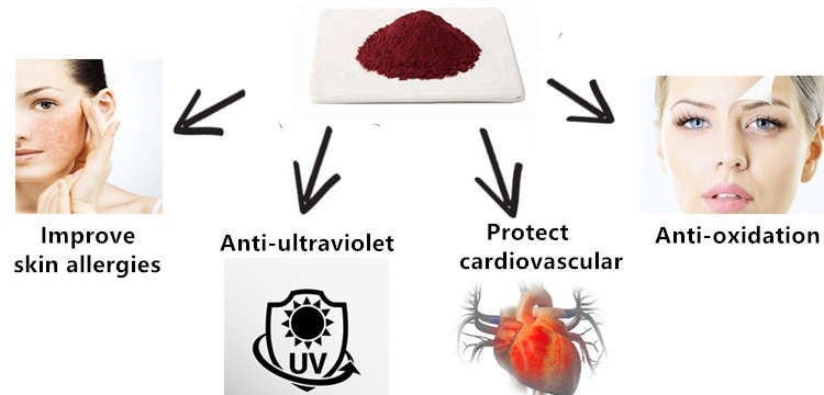 Cosmetics raw material lycopene powder in bulk