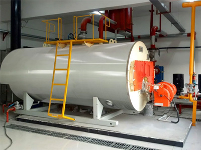 يؤدي التغويز والذكاء عالي الحرارة إلى ازدهار سوق غلايات طاقة الكتلة الحيوية العالمية في عام 2026