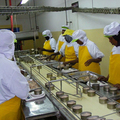 Tuna Srdine Canning Processing Production Line1