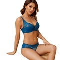 Plus Size Transparent Solid Lace Bra and Panty Sets1