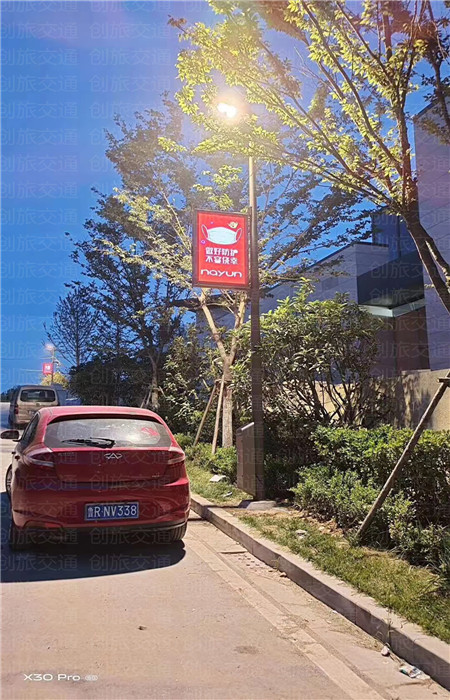 Professional smart solar street light installation completed