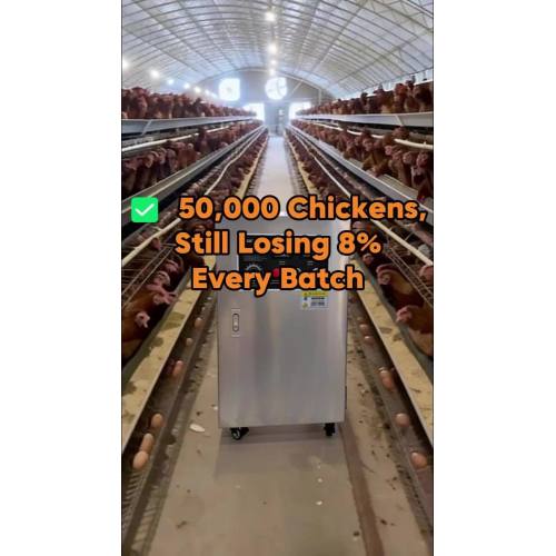 50.000 Ayam, Masih Rugi 8%? Coba Generator Ozon Kami.