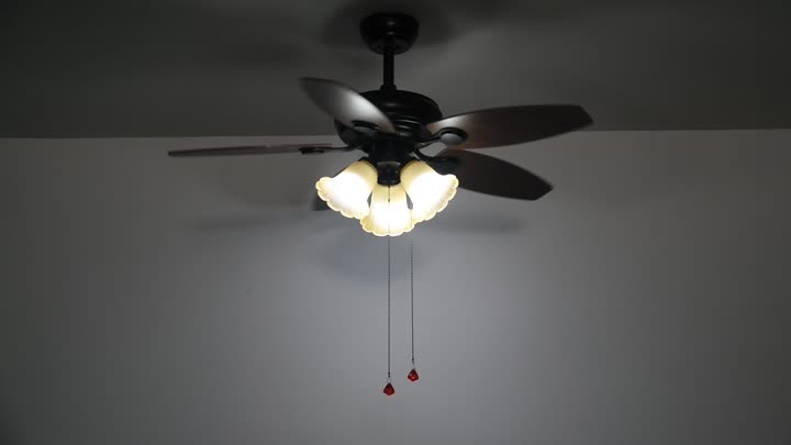 Ceiling fan with lamp