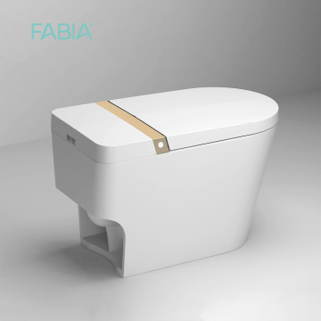 FA-937 one piece intelligent toilet
