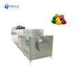 Button Chocolate Forming and Making Machines: Your Ultimate Guide to Professional Chocolatery Equipment1