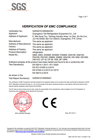 DSS_GZEM2101000064HSV  ss certificate