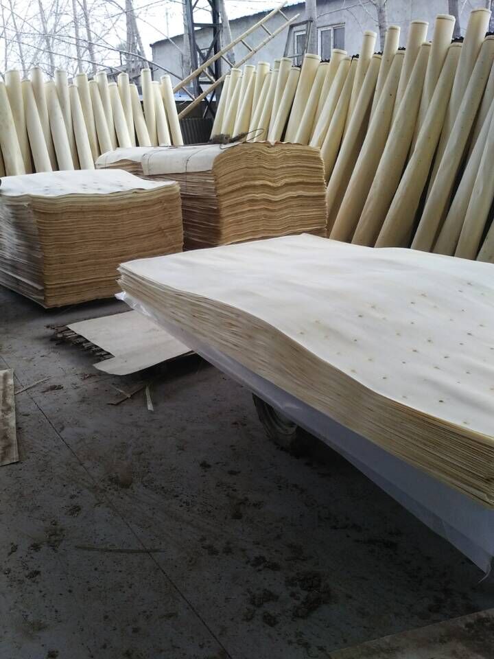 poplar and eucalyptus veneer plywood for drying