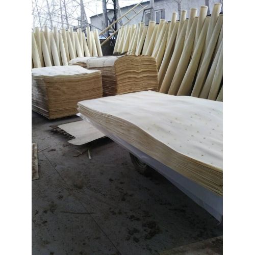 poplar and eucalyptus veneer plywood for drying