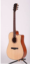 Pleasant Music Instrument Co., Limited