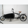 Red new design 750w cargo ebike two wheels