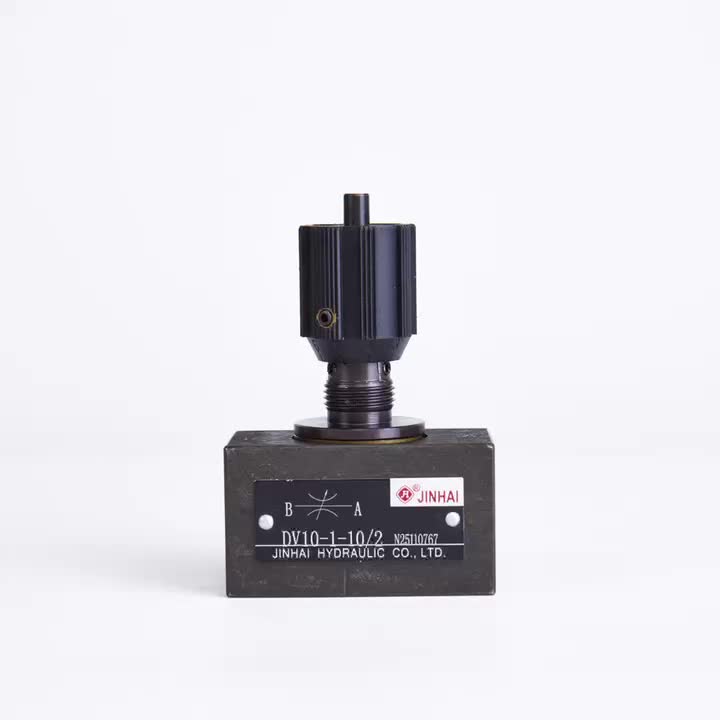 DV10 Throttle valve