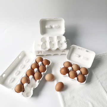 bagasse pulp egg holderx264_x264_x264
