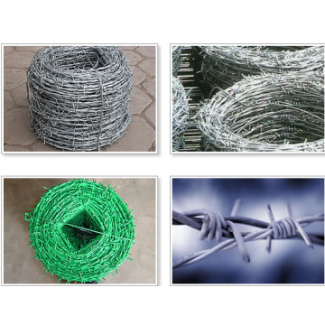 China Top 10 Protective Net Barbed Wire Potential Enterprises