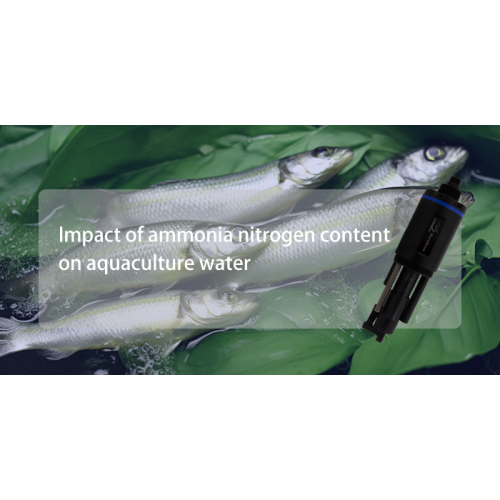 What is the impact of ammonia nitrogen content on aquaculture water?